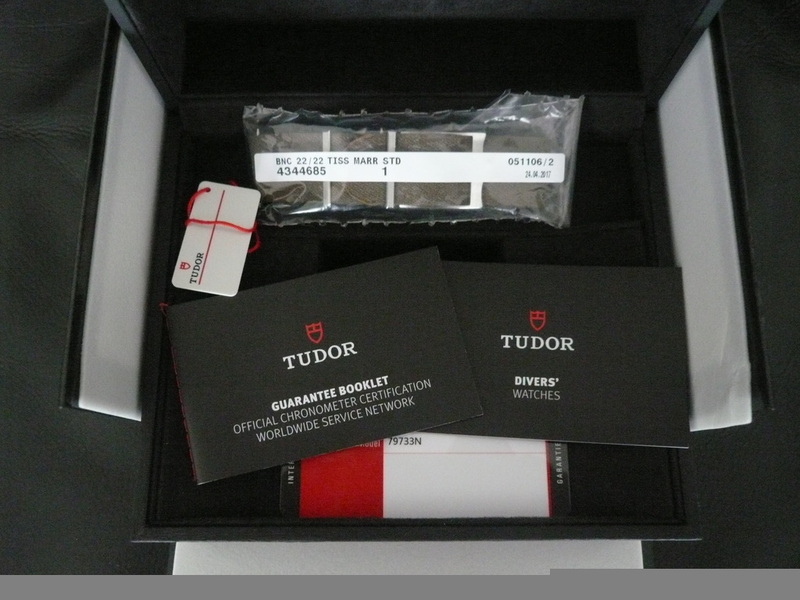 photo n°4 : TUDOR BLACK BAY S&G