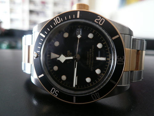 TUDOR BLACK BAY S&G