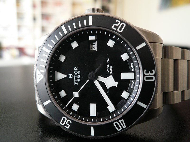 TUDOR PELAGOS
 	 
