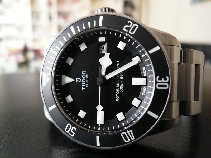 TUDOR PELAGOS
 	 
