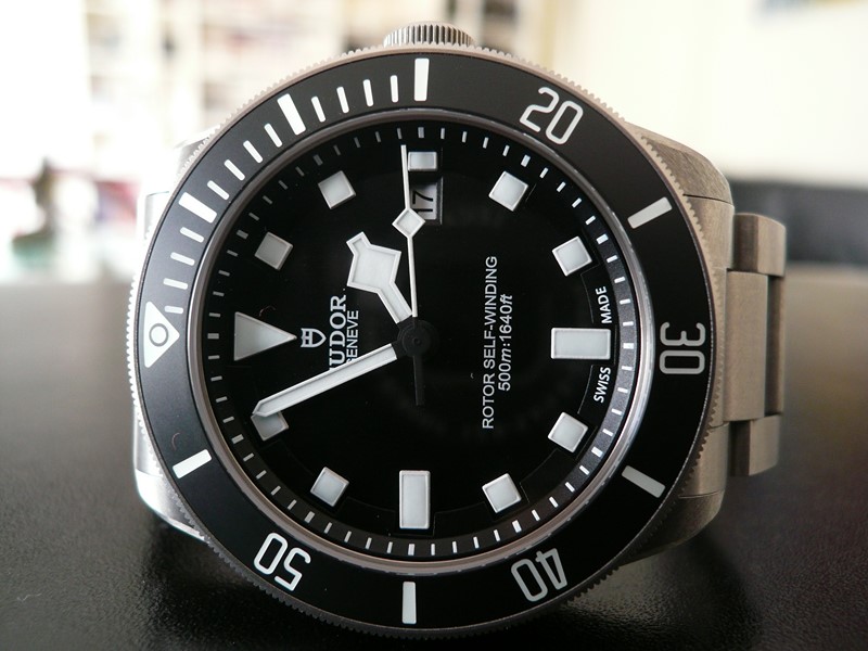 TUDOR PELAGOS
 	 
