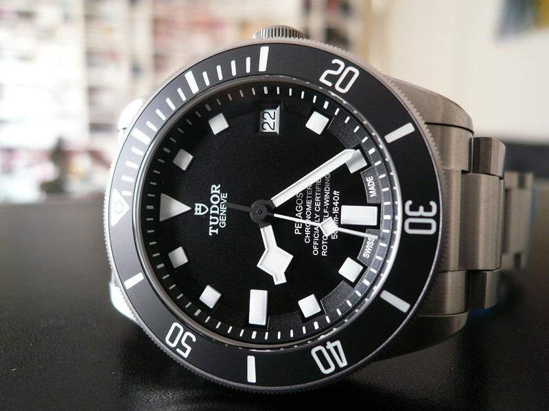 TUDOR PELAGOS
 	 
